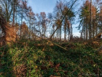 20181226 0155  ... en de natuur doet de rest. : Wandelingen, Kerstwandeling Kerstmis 2018