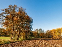 20191120 0030 : Wandelingen