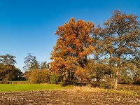 20191120 0031 : Wandelingen