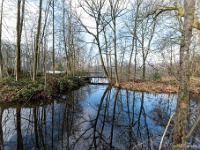 20210125 0031  Vijver voormalige Kruisheren : Orval Trappisten wandelroute 2021, Eilandjes