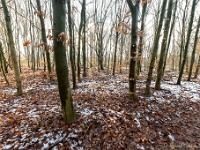 20210125 0047  Warande : Orval Trappisten wandelroute 2021, Warande