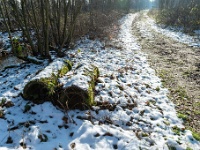 20210125 0050  Warande : Orval Trappisten wandelroute 2021, Warande