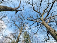 20210125 0069  Eens anders bekeken : Orval Trappisten wandelroute 2021, De Waag