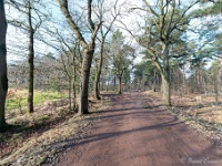 20210125 0070  Wagerdijk : Orval Trappisten wandelroute 2021, De Tomp