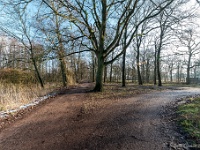 20210125 0075  Wagerdijk : Orval Trappisten wandelroute 2021, De Tomp