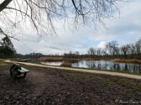 20210117 0040  Het is nog redelijk rustig : West Vleteren Trappisten wandelroute 2021, Beverbeek