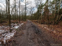 20210117 0054  Vanaf nu even de bossen in : West Vleteren Trappisten wandelroute 2021, Bauwelkens