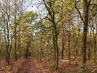 20210117 0056 : West Vleteren Trappisten wandelroute 2021, Bauwelkens