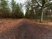 20210117 0090 : West Vleteren Trappisten wandelroute 2021