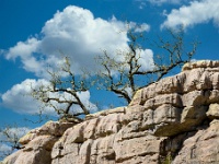 20200225 0133 1 : Andalusie 2020, El Torcal