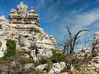 20200225 0145 1 : Andalusie 2020, El Torcal