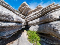 20200225 0185 : Andalusie 2020, El Torcal