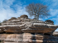 20200225 0188 : Andalusie 2020, El Torcal