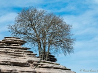 20200225 0206 : Andalusie 2020, El Torcal