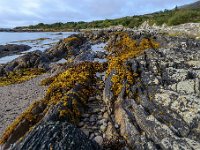 20170925 0472  Ierland, water, rotsen en wier vormen heel wat stillevens. : Ierland 2017