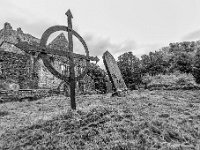 20170927 0998 1  Muckross Friary : Ierland 2017