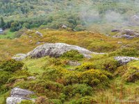 20170927 1171  Killarney National park. : Ierland 2017