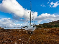 20141001 0072  Nabij Hotel Eilean Larmain : Schotland