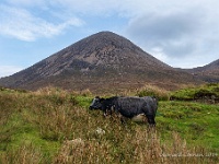 20141002 0091  Bein na Caillich : Schotland