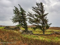 20141005 0146  Omgeving Uig : Schotland