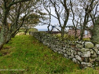 20141006 0121  Duntulm Erisco : Schotland