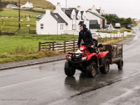 20141007 0160  Omgeving Staffin : Schotland