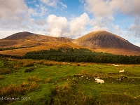 20141008 0080  Beinn na Caillich : Schotland