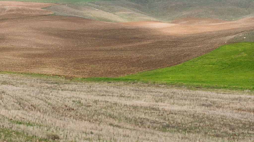 20150316_0024.JPG - ... kleur- en lichtspel...