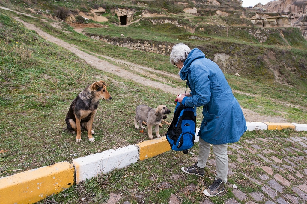 20150317_0383.JPG - En moeder hond zag dat het goed was