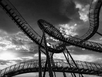 20191016 0018 2 : Tiger&Turtle