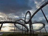 20191016 0040 1 : Tiger&Turtle