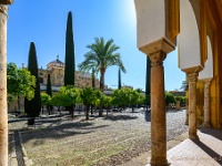 20200227 0163  Mezquita Andalusië : Andalusie 2020, Cordoba